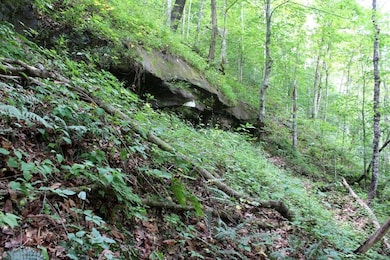 312 Laurel Fork, Ricetown, KY 41364 - photo 4