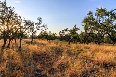 6690 Ranch Road 965, Fredericksburg, TX 78624 - photo 7