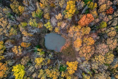 DJI_0656