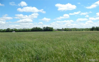 Lot 8 Plaza Pkwy, Waterloo, IL 62298 - photo 4