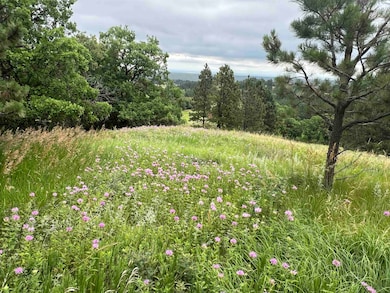 Lot 30 Summit Pass unit Dakota Highland Esta, Whitewood, SD 57793 - photo 3