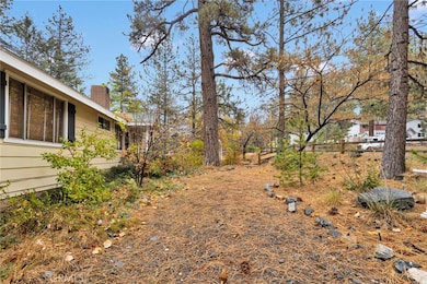 2046 Thrush Rd, Wrightwood, CA 92397 - photo 7