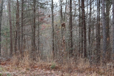 0 E Loomis Loop Rd, Jamestown, TN 38556 - photo 4