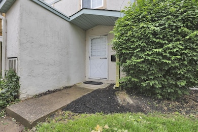 4-web-or-mls-939A3097