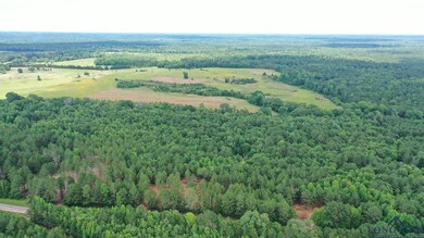 Aerial view of property's location with a forest