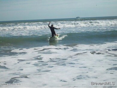 Dolphin Beach surfer