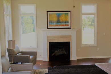 10115 Texas Ln, Crown Point, IN 46307 - photo 3