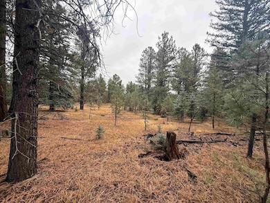 Lot 37 Valle Grande Trail, Angel Fire, NM 87710 - photo 2