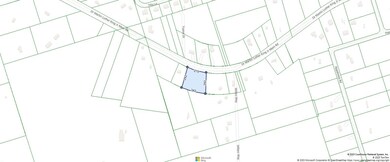 1081 Doctor Martin Luther King Junior Memorial Rd, Crawfordville, FL 32327 - photo 3