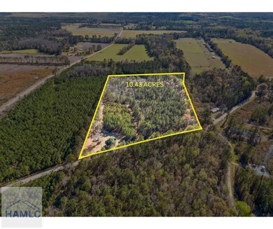 1014 Iler Rd, Pembroke, GA 31321 - photo 2