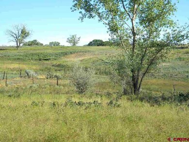 0 Road 23 unit 734035, Cortez, CO 81321 - photo 6