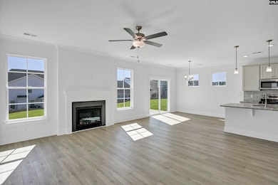 620 Thunder Gulch Ave, Lexington, SC 29073 - photo 4