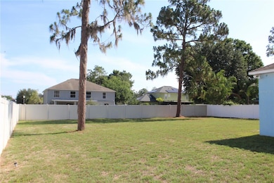 Back yard from driveway