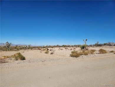 1045 Echo Dr, Meadview, AZ 86444 - photo 4