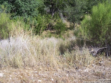 8511 Camp Verde Rio, San Antonio, TX 78255 - photo 6