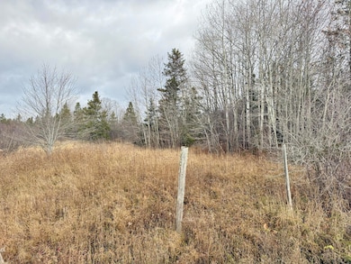 0 Lecoy Rd, Sugar Island Township, MI 49783 - photo 2