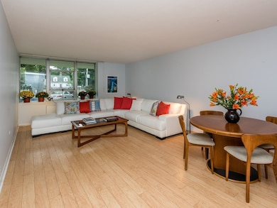 Imperial Towers unit 112, Chestnut Hill, MA 02467 - photo 4