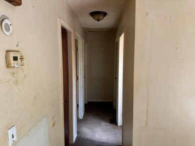 IMG_3875