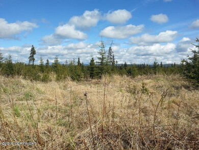 Moose Country