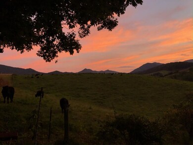 138 Peaceful Valley Dr, Leicester, NC 28748 - photo 7