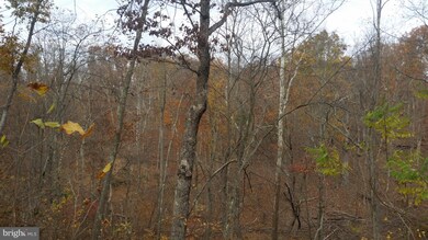 180 Spring Hollow Ln, Great Cacapon, WV 25422 - photo 5