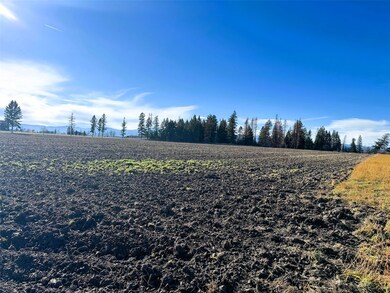 1262 Riverside Rd, Bigfork, MT 59911 - photo 6