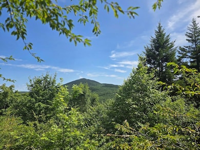 0 Ackley Pond Rd unit 5 24266409, Mount Chase, ME 04765 - photo 5