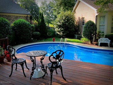 Pool from back deck 2 Shrunken