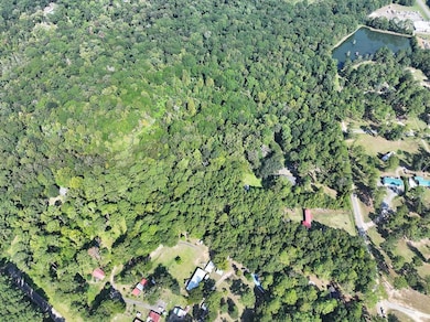 140 Elderberry Ln, Cairo, GA 39828 - photo 3