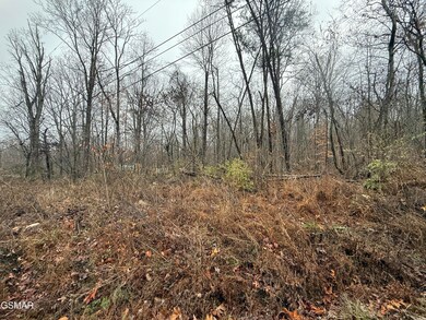 0 Collier Loop unit 309318, Dandridge, TN 37725 - photo 2