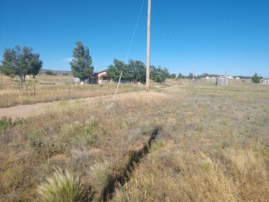 00- N Patricia Rd, Paulden, AZ 86334 - photo 2