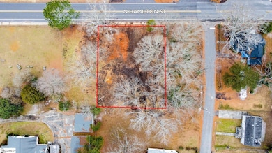 206 N Hamilton St unit 8 W Carolina Street, Williamston, SC 29697 - photo 4