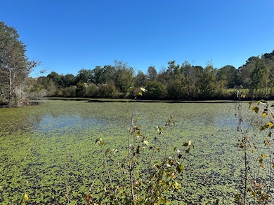 0 Highway 82, Sumner, GA 31789 - photo 6