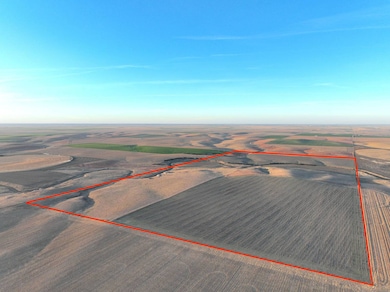 000 Road 29, Bird City, KS 67731 - photo 7