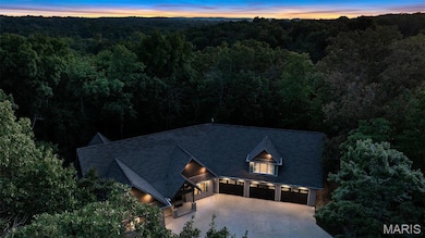Aerial view at dusk of a forest view