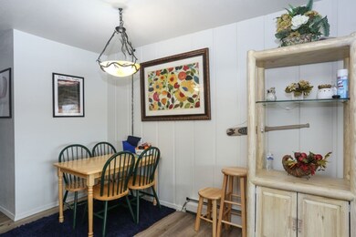 370 E La Bonte St unit 502, Dillon, CO 80435 - photo 5