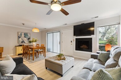 3859 El Camino Place unit 2, Alexandria, VA 22309 - photo 5