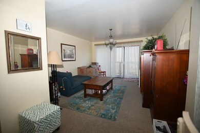 Kensington Commons unit F, Mount Prospect, IL 60056 - photo 4