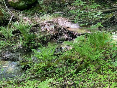 0 Mercy Anderson Rd unit 72987869, Shelburne, MA 01370 - photo 6