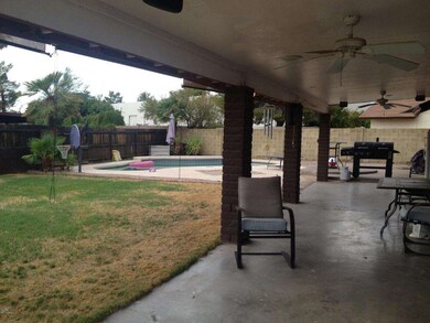 Backyard 1