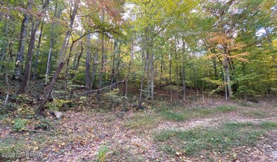 River View Fall275