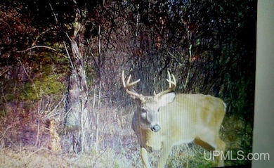 N18104 Perch Lake Rd, Pembine T-Wi, WI 54156 - photo 5