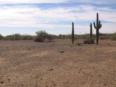 Looking South