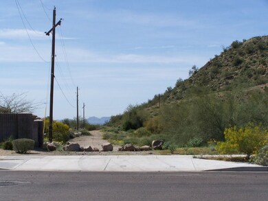 East side of lot 4 looking south