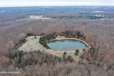 3003 County Road 4016, Summit Township, MO 65043 - photo 6