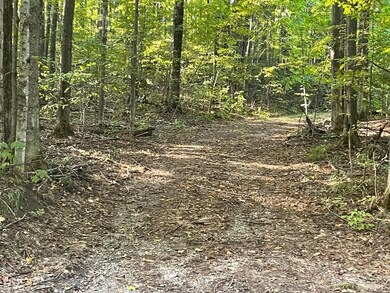 11234 White Ash Trail, Vanderbilt, MI 49795 - photo 3