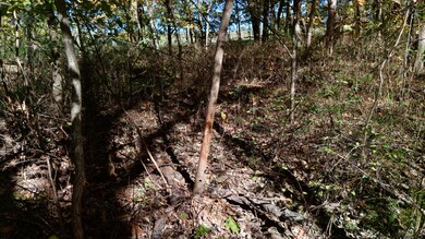 8449 Walnut Dr, Clark Fork Township, MO 65068 - photo 5