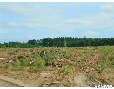 0 N Black Brook Rd unit 869582, Webster, WI 54893 - photo 4