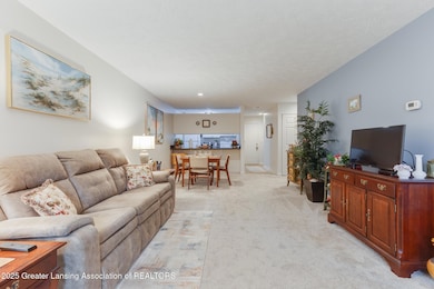 1571 W Pond Dr unit 20, Okemos, MI 48864 - photo 7