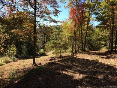 16 Smokey Ridge Trail unit LOT 172, Arden, NC 28704 - photo 2